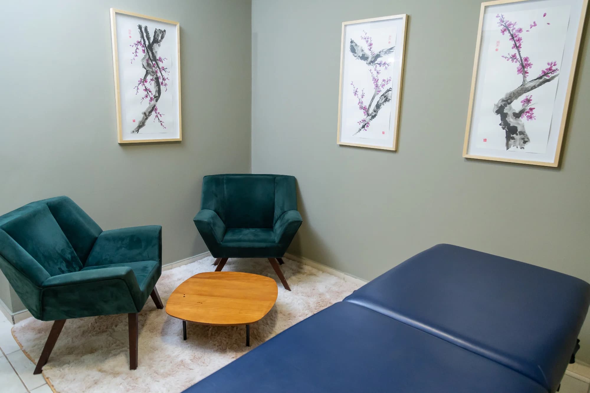 Sala Alecrim do Espaço Cor: duas poltronas verdes, maca de atendimento e quadros de cerejeira em parede verde-oliva